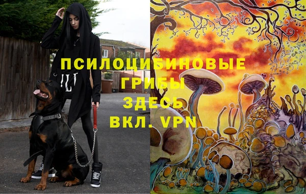 дмт Володарск