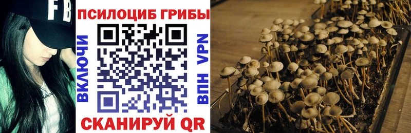 Псилоцибиновые грибы Magic Shrooms  omg онион  Северск  закладка 
